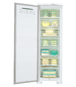 Freezers - Freezer Vertical (FFE24)